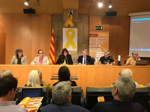 Segona edició del festival 